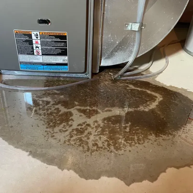 Appliance Leak Cleanup in Collier County, FL